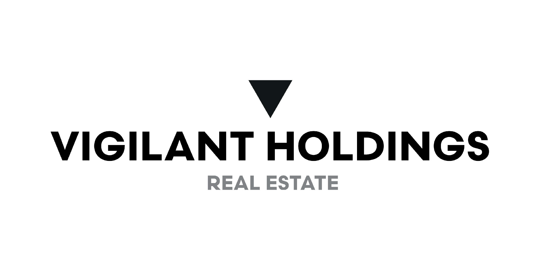 Vigilant Holdings<br />
